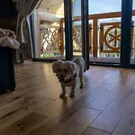 Buńdowe Wzgórze Na Wynajem Chalet