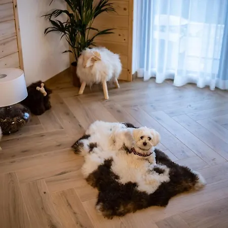 Buńdowe Wzgórze Na Wynajem * Bukowina Tatrzańska