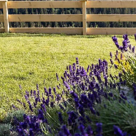 Bundowe Wzgorze Na Wynajem Chalet Bukowina Tatrzańska